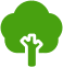 albero