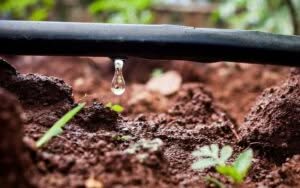 irrigazione a goccia per caduta