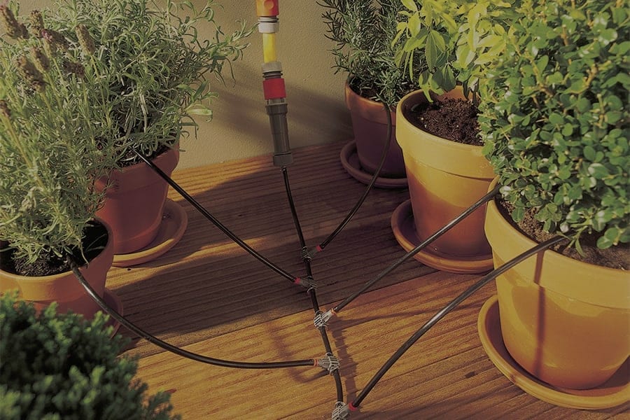 impianti irrigazione a goccia