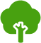 albero