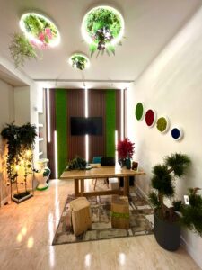 dettaglio Showroom piante quadri vegetali stabilizzati