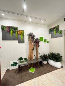 dettaglio Showroom piante quadri vegetali stabilizzati
