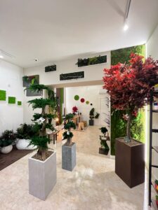 dettaglio Showroom piante quadri vegetali stabilizzati